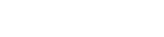 Autovolt